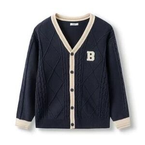 Knit Cardigan Sweater 2025 | Spring Autumn Preppy Style Button-Up Top